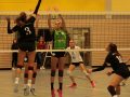 IMG_8813_uehz_copy