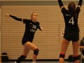 IMG_8806_uehz_copy