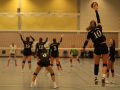 IMG_8676_uehz_copy