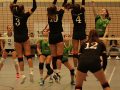 IMG_8726_uehz_copy