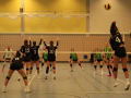 IMG_8666_uehz_copy