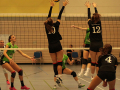 IMG_8670_uehz_copy