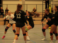 IMG_8703_uehz_copy