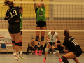 IMG_8729_uehz_copy