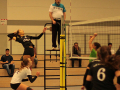 IMG_8772_uehz_copy