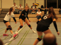 IMG_8775_uehz_copy
