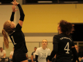 IMG_8793_uez_copy
