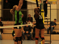 IMG_8848_uez_copy