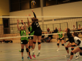 IMG_8865_uehz_copy
