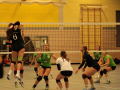 IMG_8894_uez_copy