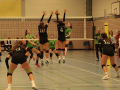 IMG_9722_uehz_copy