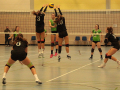 IMG_9904_uehz_copy