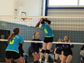 IMG_0245_ueh.geaendert