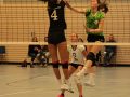 IMG_8785_uehz_copy