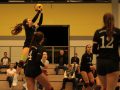 IMG_8797_uehz_copy